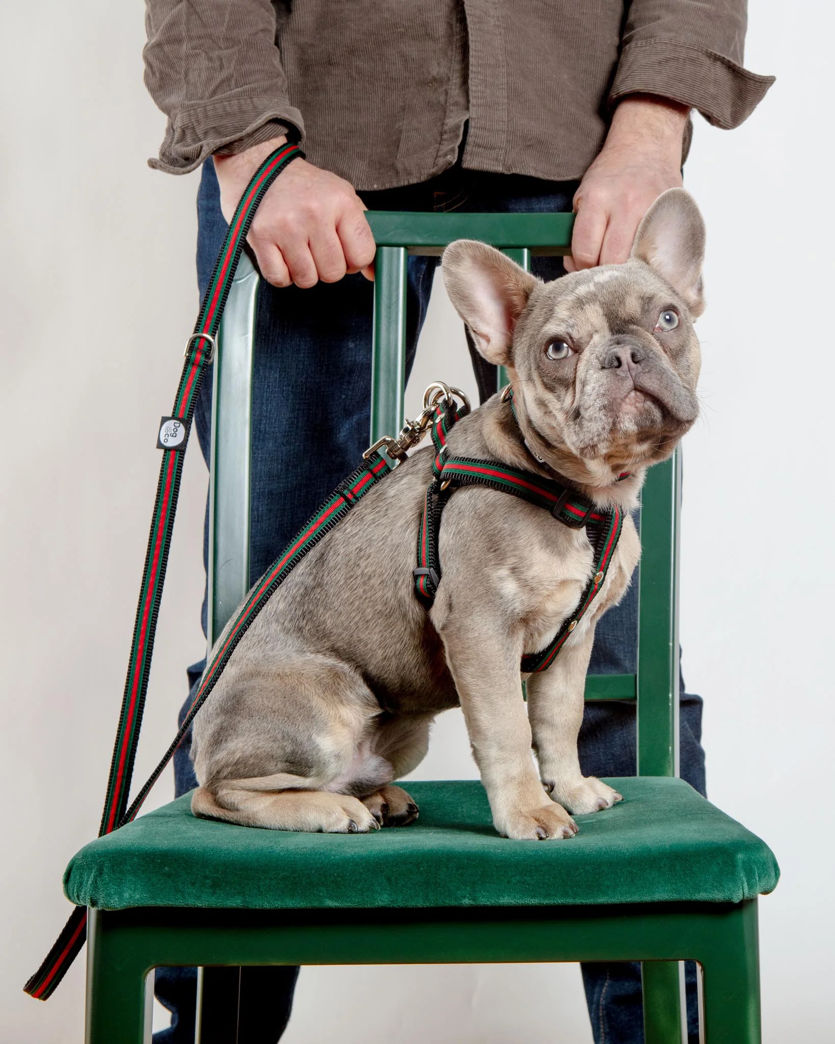 Step-In Dog Harness in Luxe Green & Red Stripe (Made in NYC) - Image 9