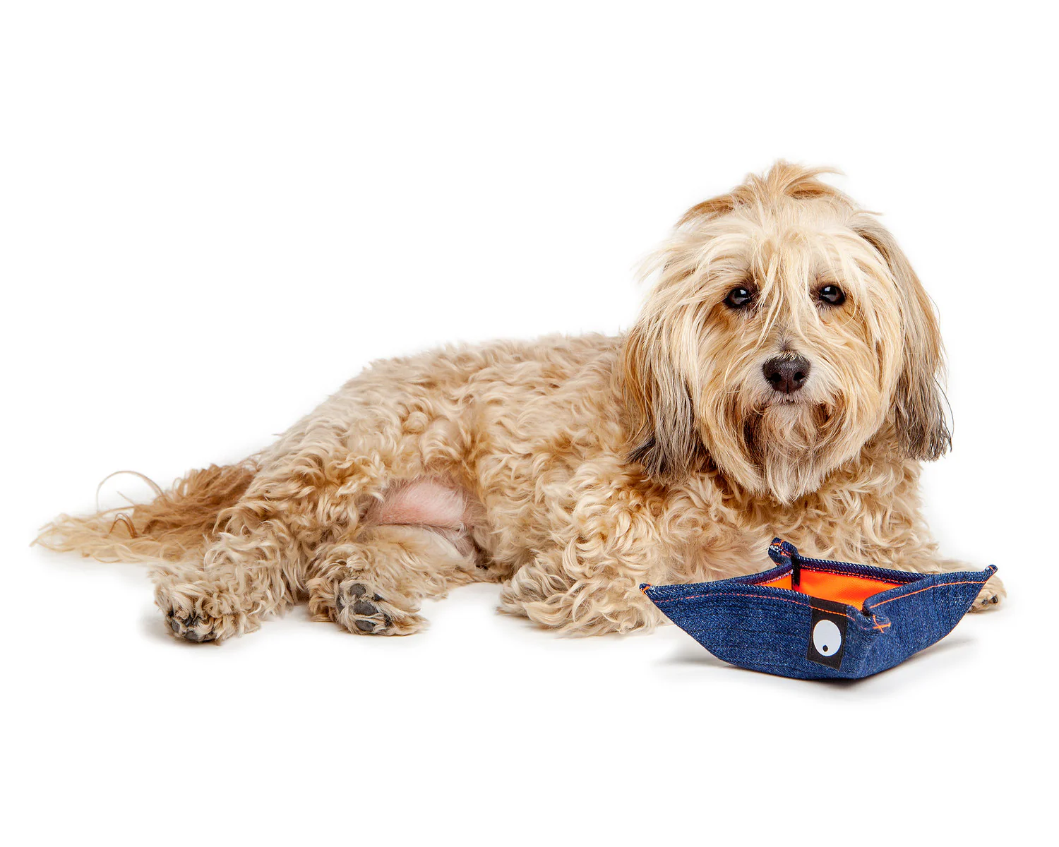 Bandana Bowl For Dogs (Made in the USA) - Image 10