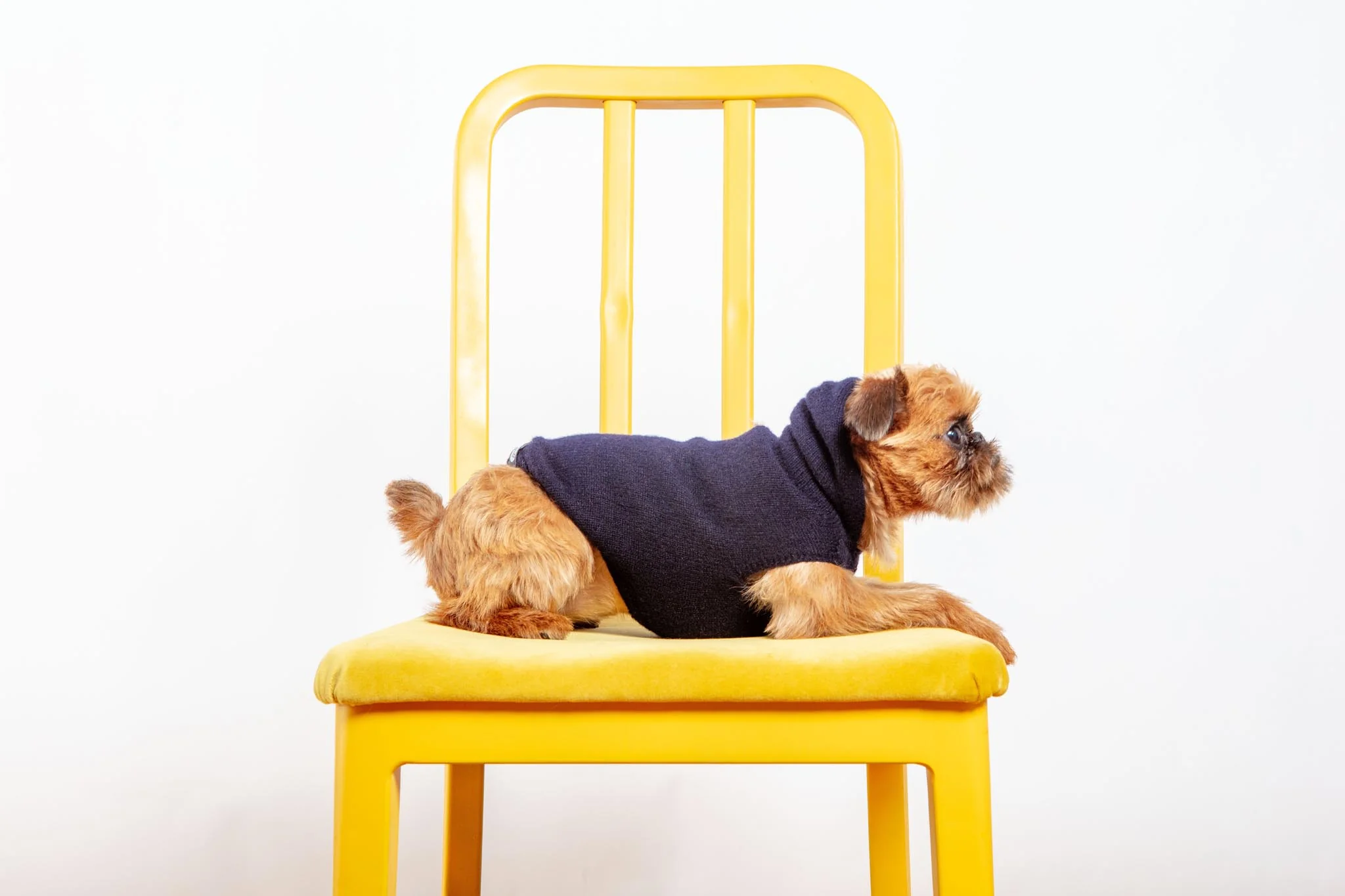 The Marmalady Cashmere Dog Hoodie in Midnight (Made in NYC) (FINAL SALE) - Image 6