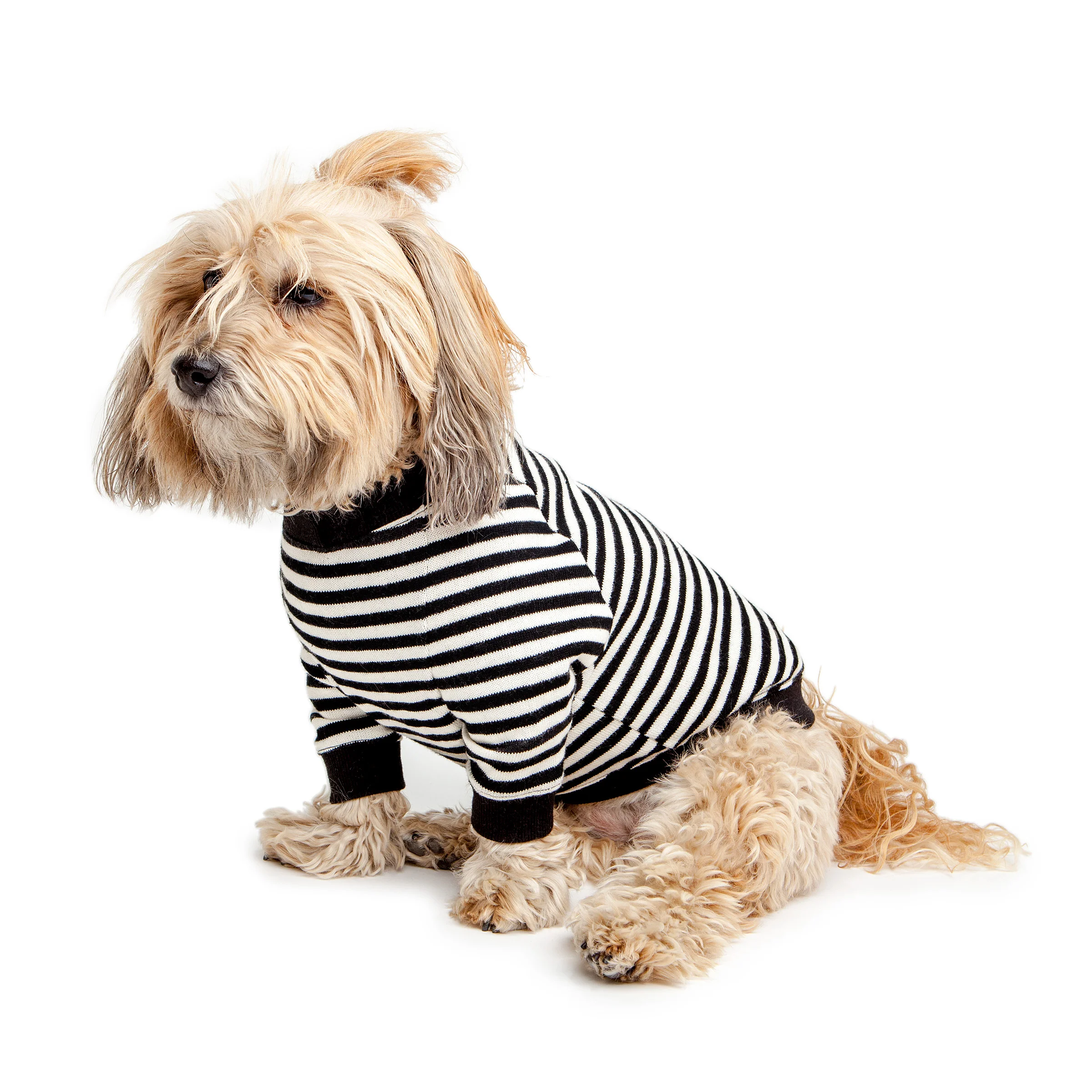 Cheeky Stripe Pullover in Black & White with Black Trim - Image 7