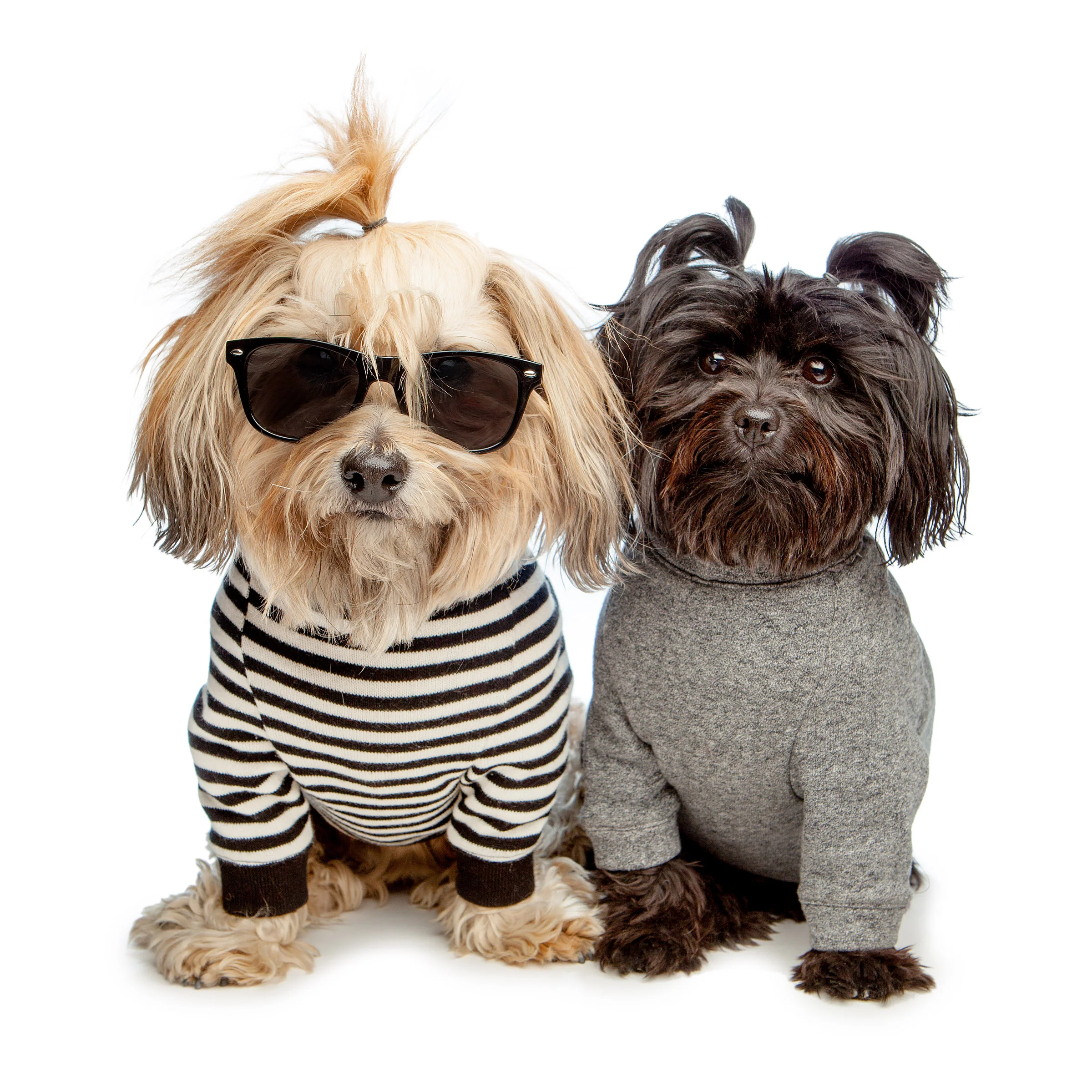 Cheeky Stripe Pullover in Black & White with Black Trim - Image 9