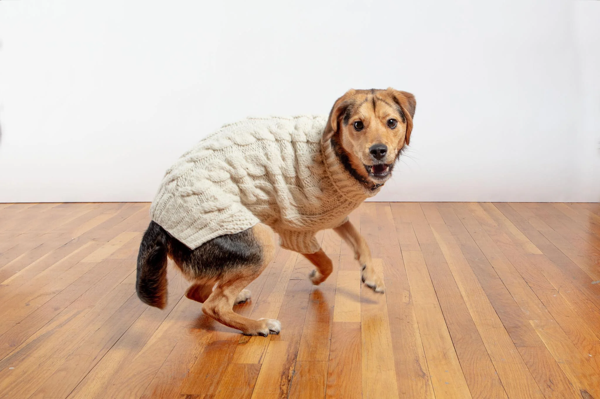 Downtown Roll Neck Dog Sweater in Natural (FINAL SALE) - Image 9