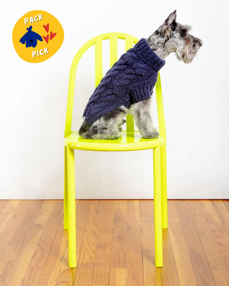 Downtown Roll Neck Dog Sweater in Navy FINAL SALE