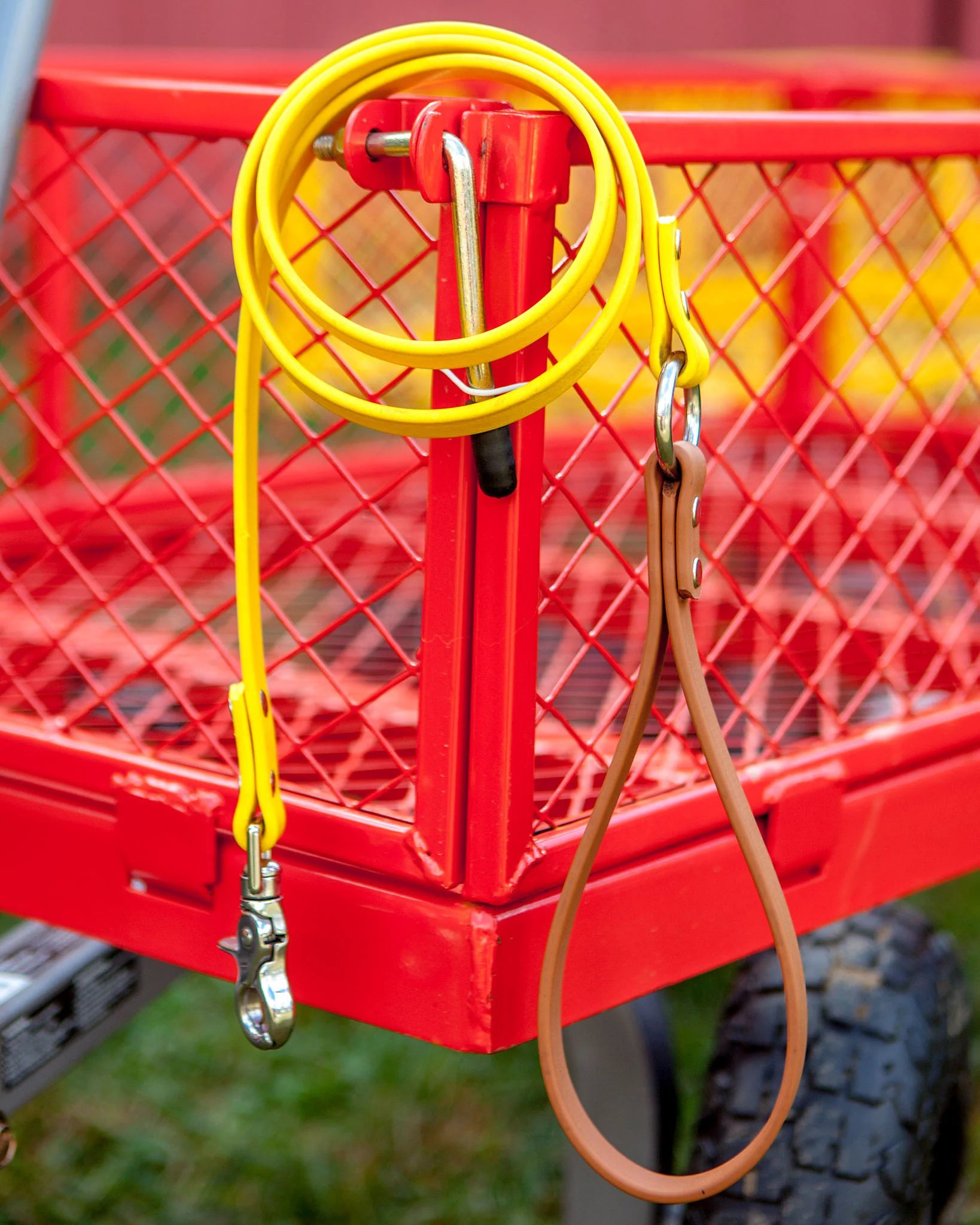City Leash in Gold & Tan (FINAL SALE) - Image 5