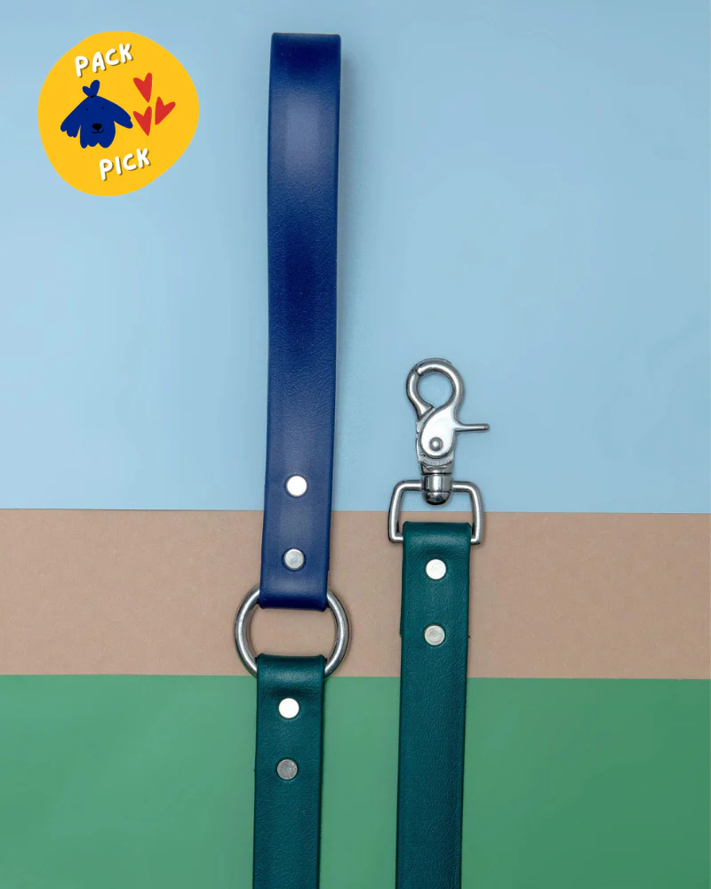 City Leash in Hunter Green & Navy (4 or 6 Foot) (Made in the USA) - Image 14