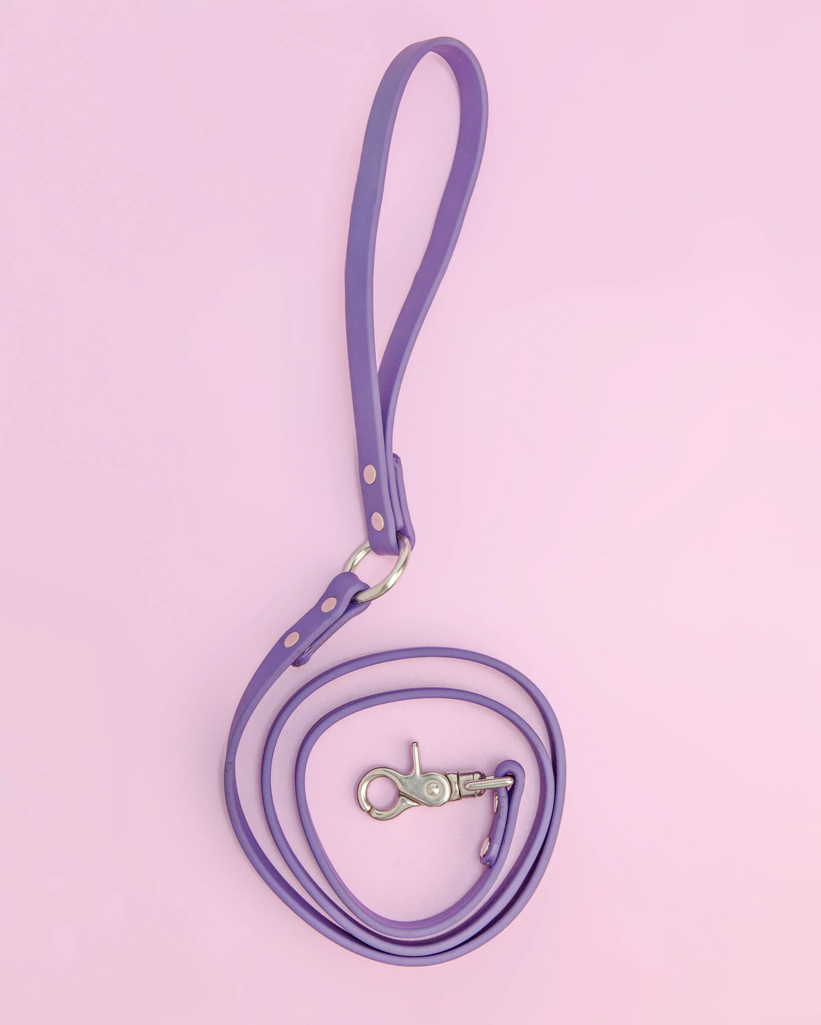 City Leash in Royal Purple (FINAL SALE)