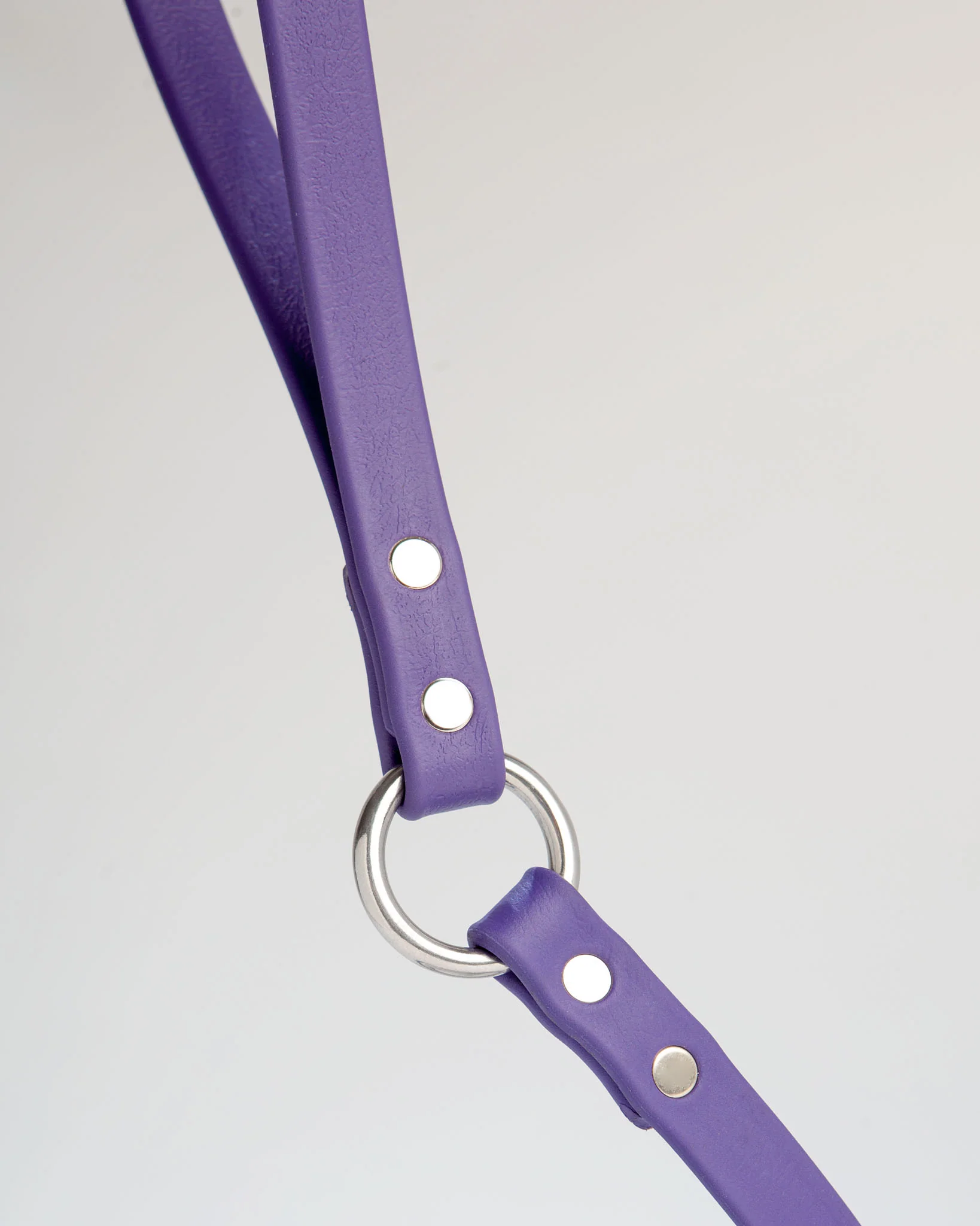 City Leash in Royal Purple (FINAL SALE) - Image 4