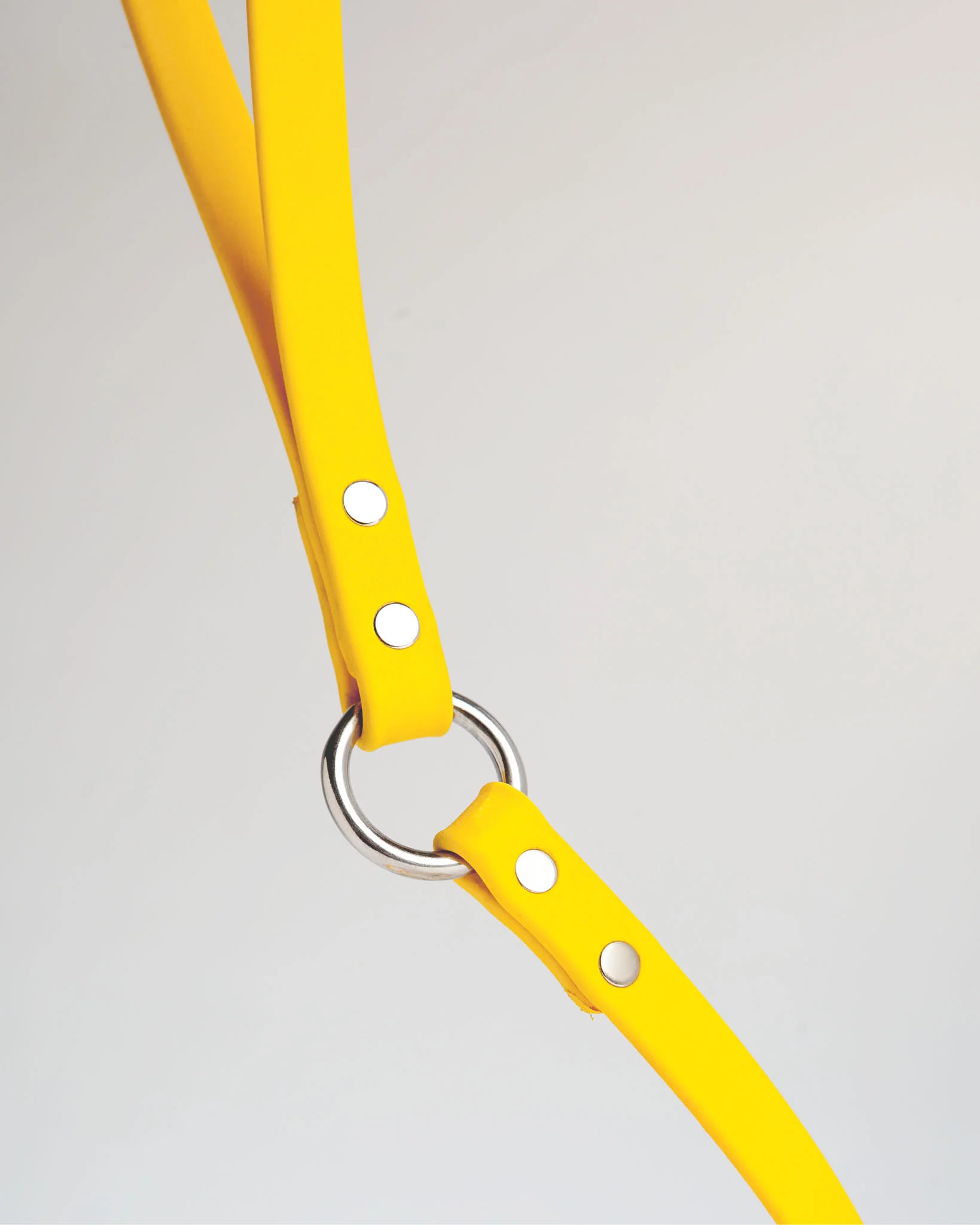 City Leash in Golden Yellow - Image 4