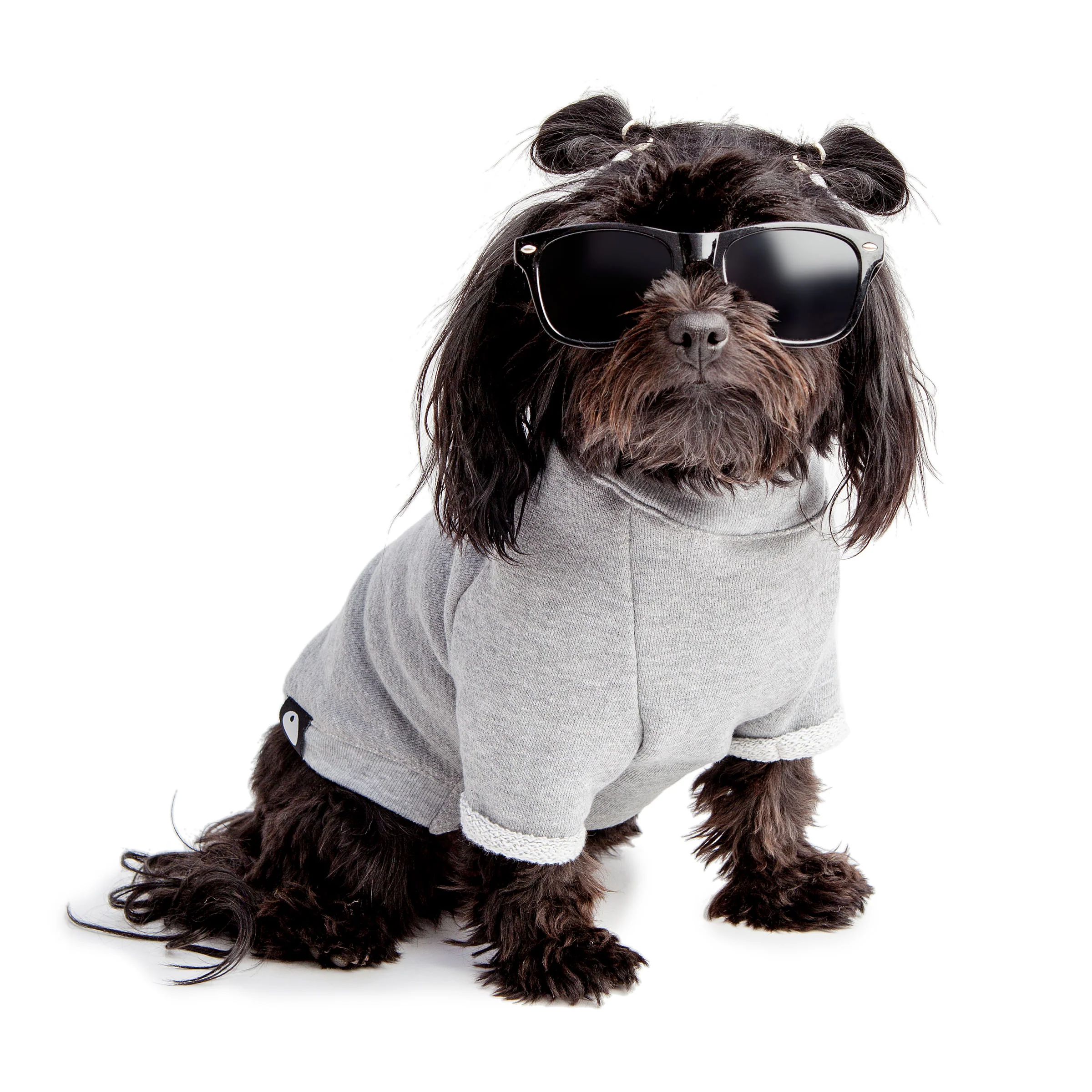 DOG & CO. | Love Like a Dog Crewneck Sweatshirt - Image 3