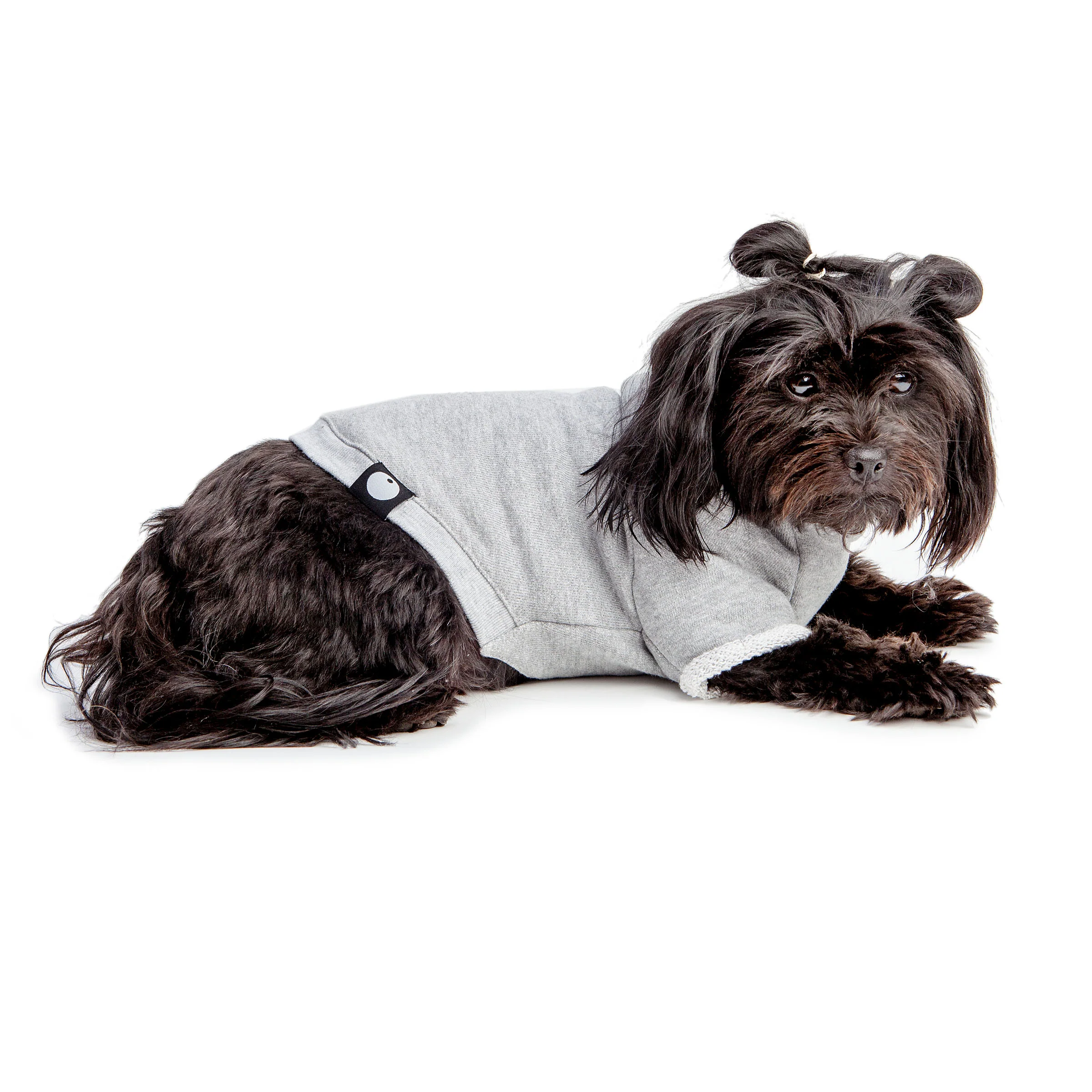 DOG & CO. | Love Like a Dog Crewneck Sweatshirt - Image 5