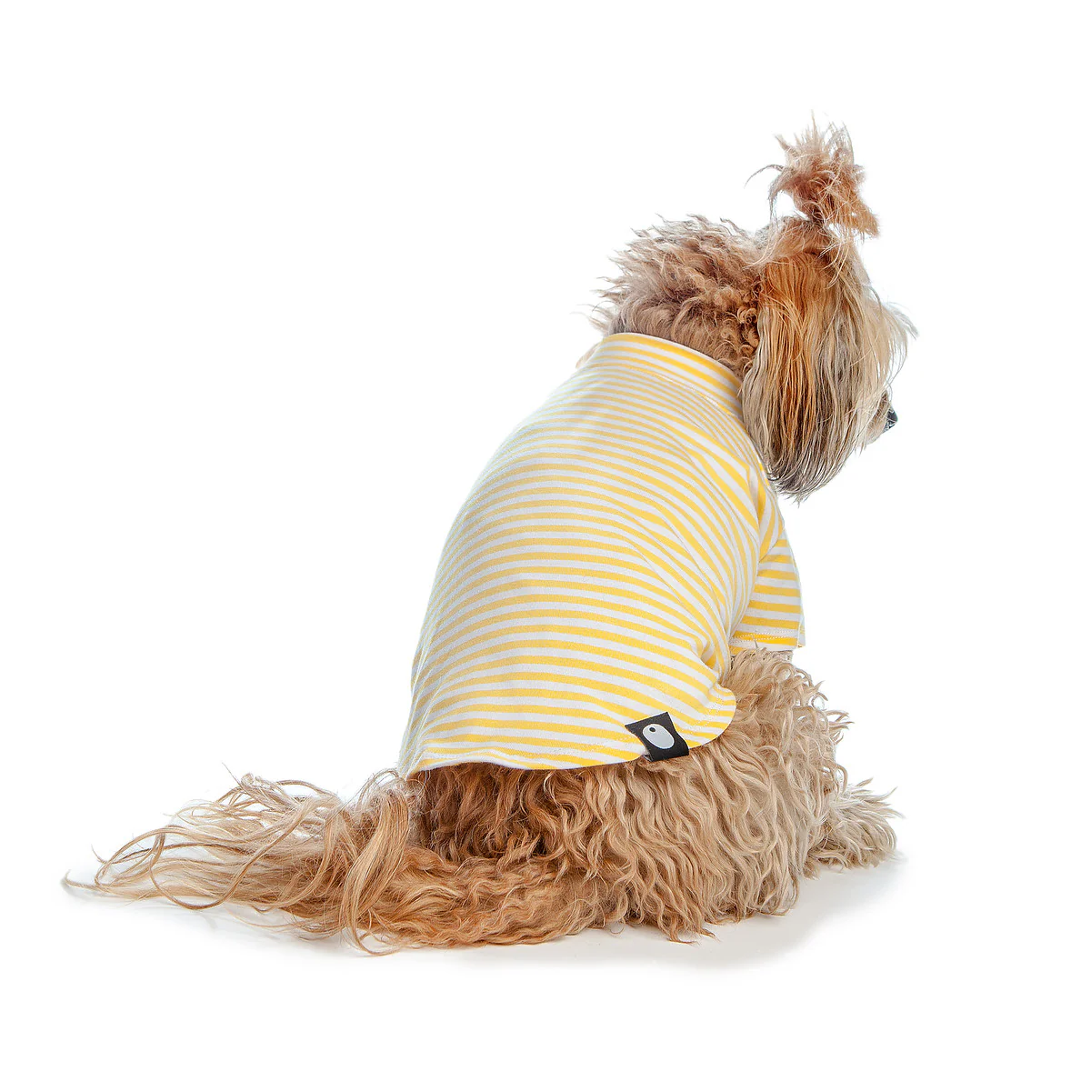 DOG & CO. | Perfect T in Sunshine Yellow & White Stripe - Image 5