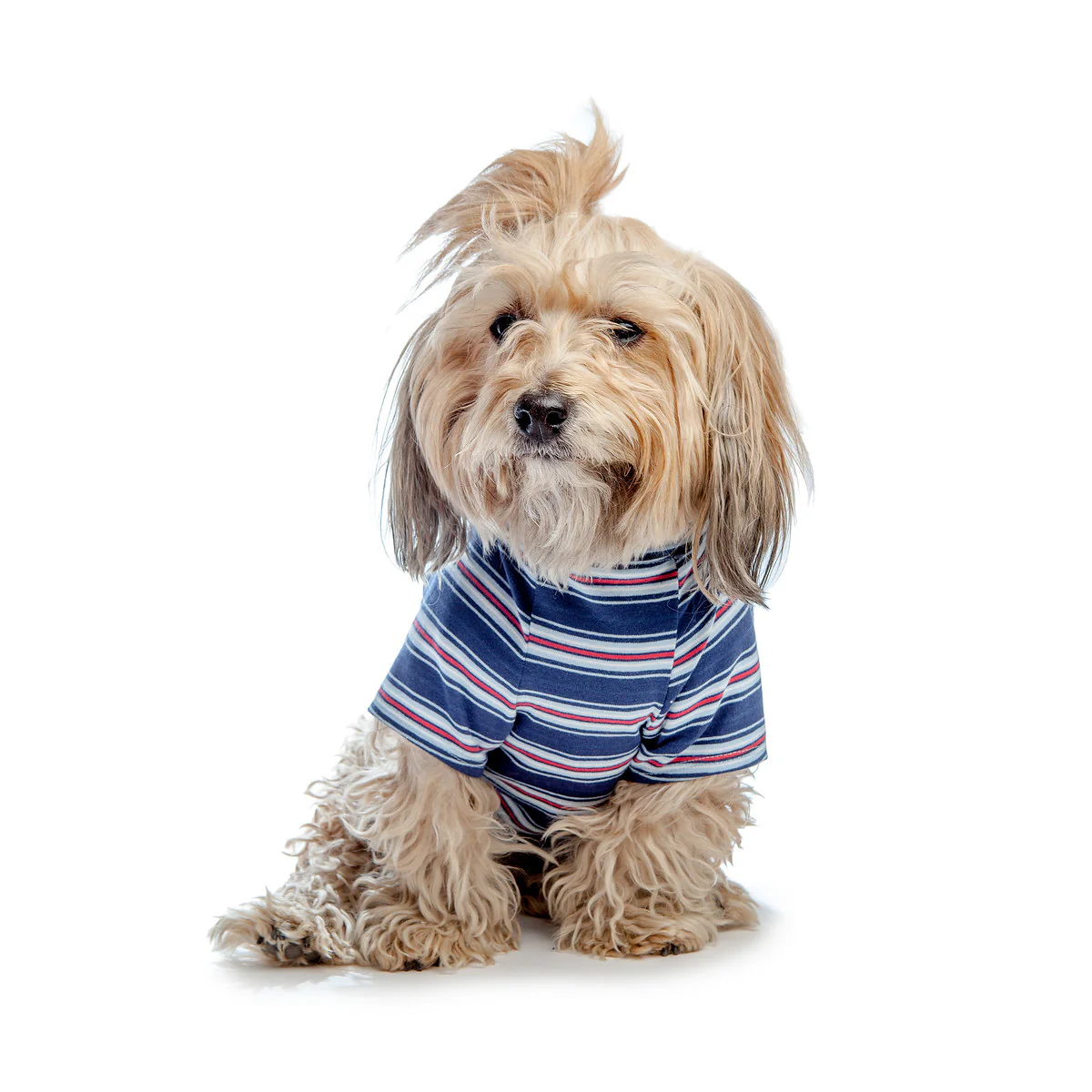 DOG & CO. | Perfect T in Vintage Blue & Red Stripe - Image 3