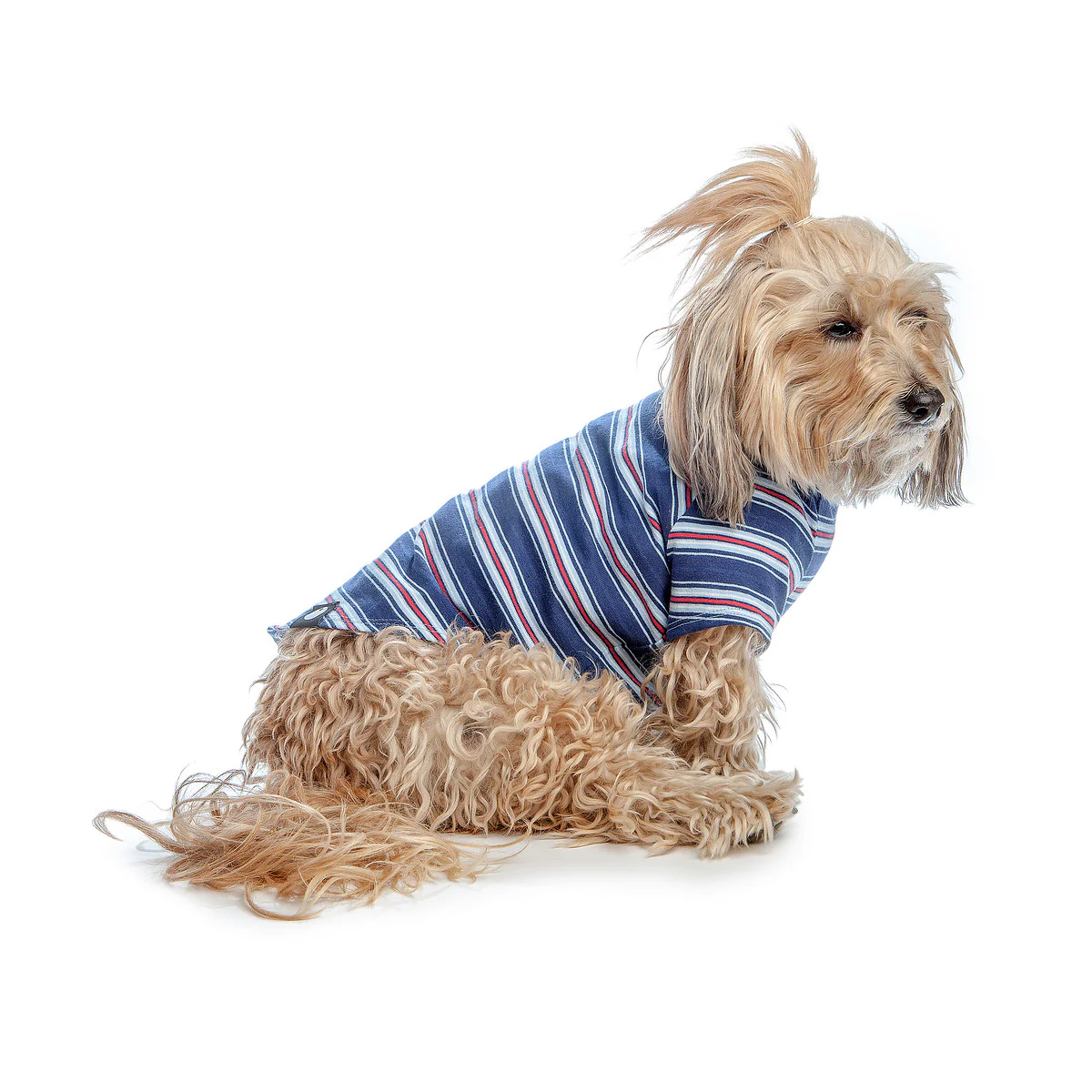 DOG & CO. | Perfect T in Vintage Blue & Red Stripe - Image 4