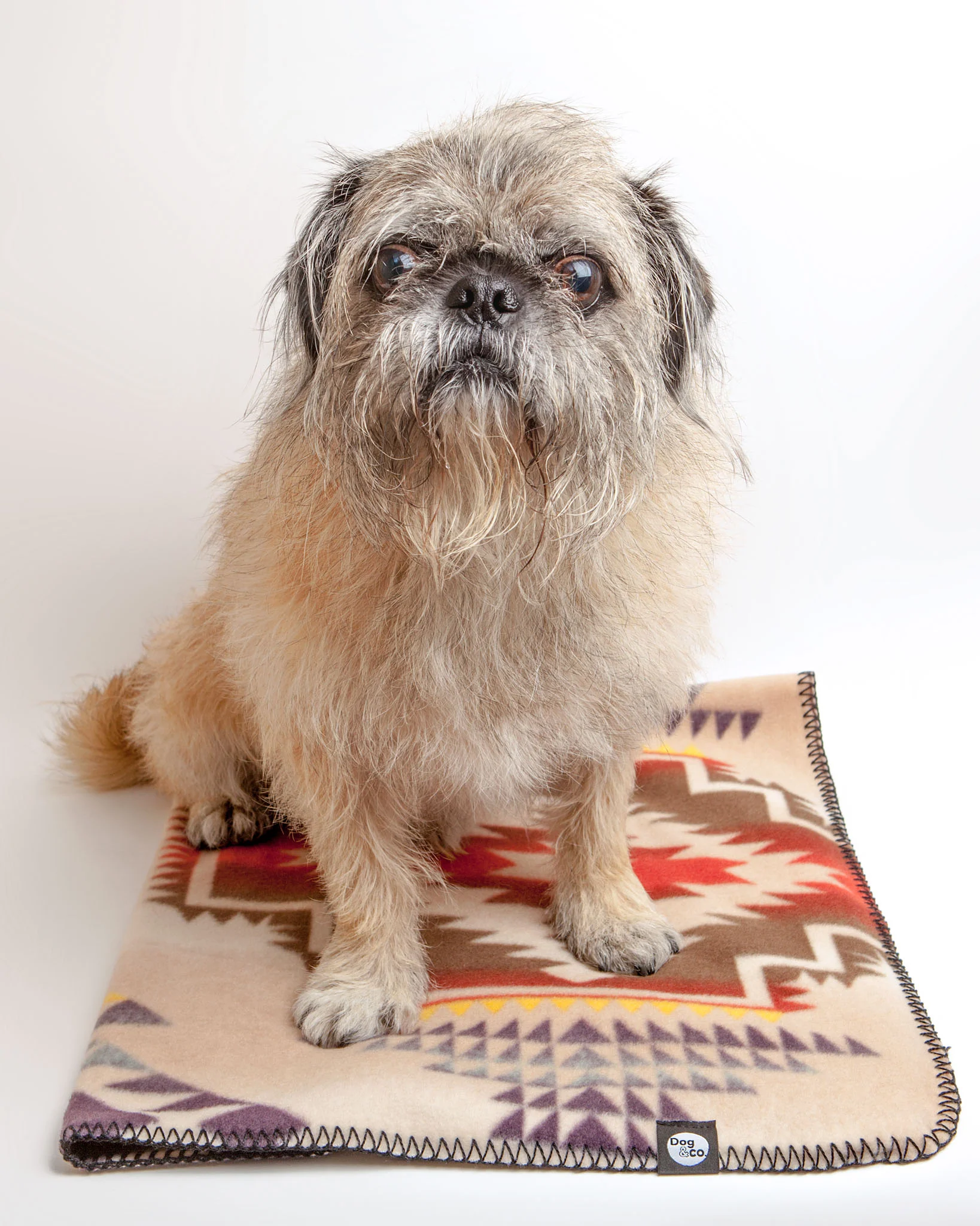 Santa Fe Fleece Blanket