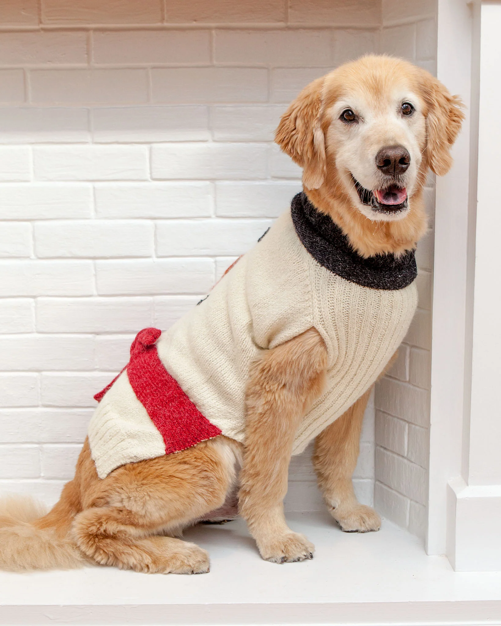Snowpup Handknit Howliday Dog Sweater - Image 3