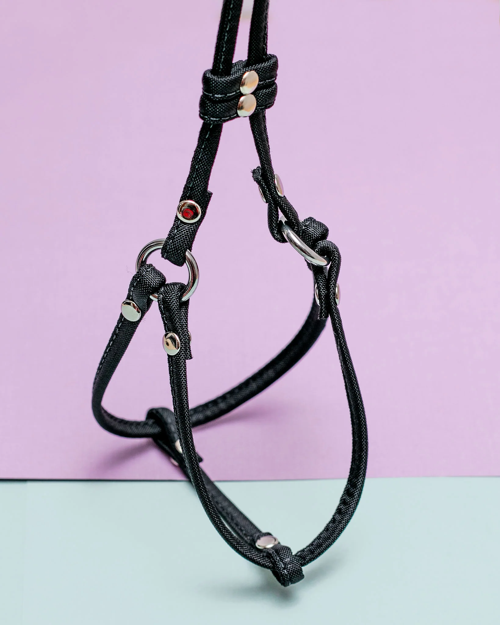 Nylon Step-In Adjustable Dog Harness in Black (Made in the USA) - Image 2