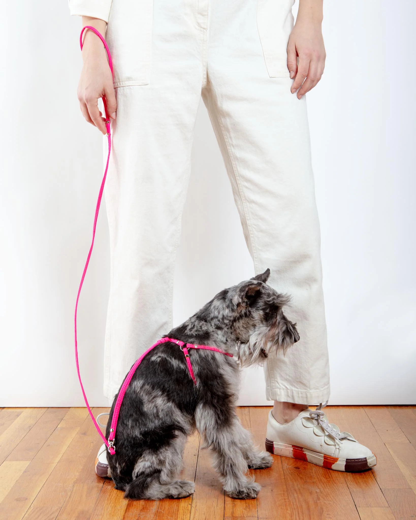 Step-In Adjustable Dog Harness in Neon Pink (Made in the USA) - Image 5