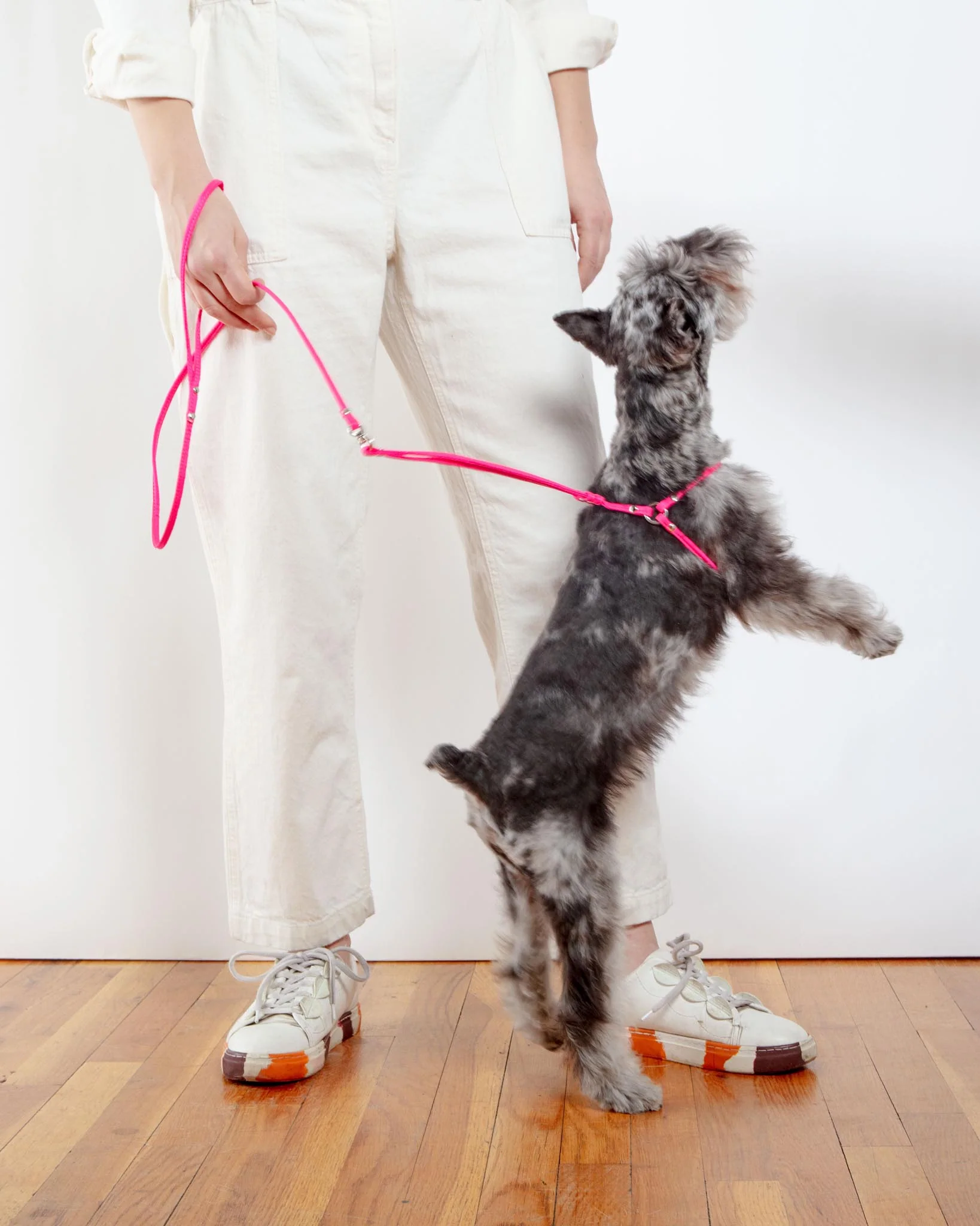 Step-In Adjustable Dog Harness in Neon Pink (Made in the USA) - Image 6