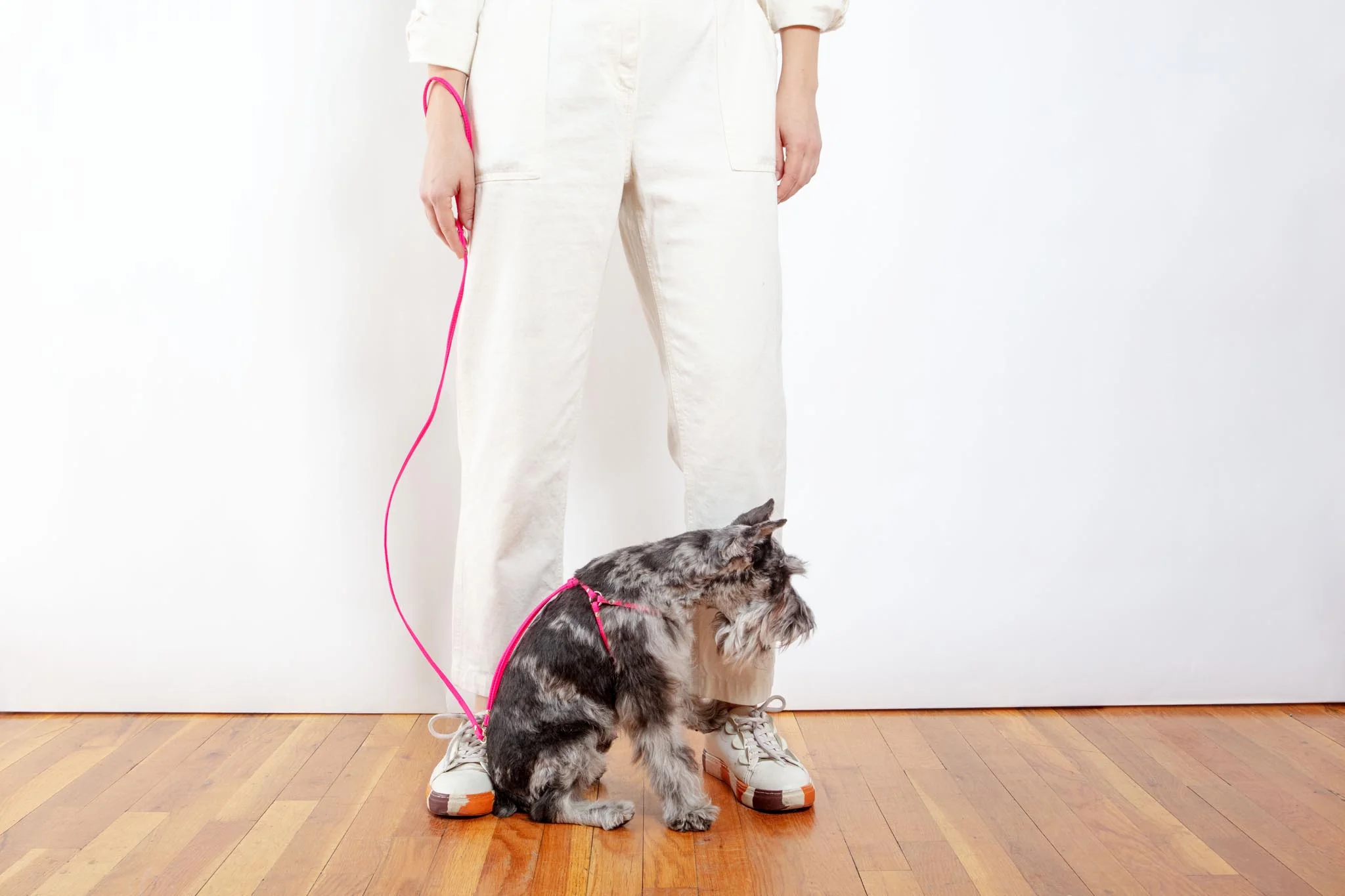 Step-In Adjustable Dog Harness in Neon Pink (Made in the USA) - Image 7