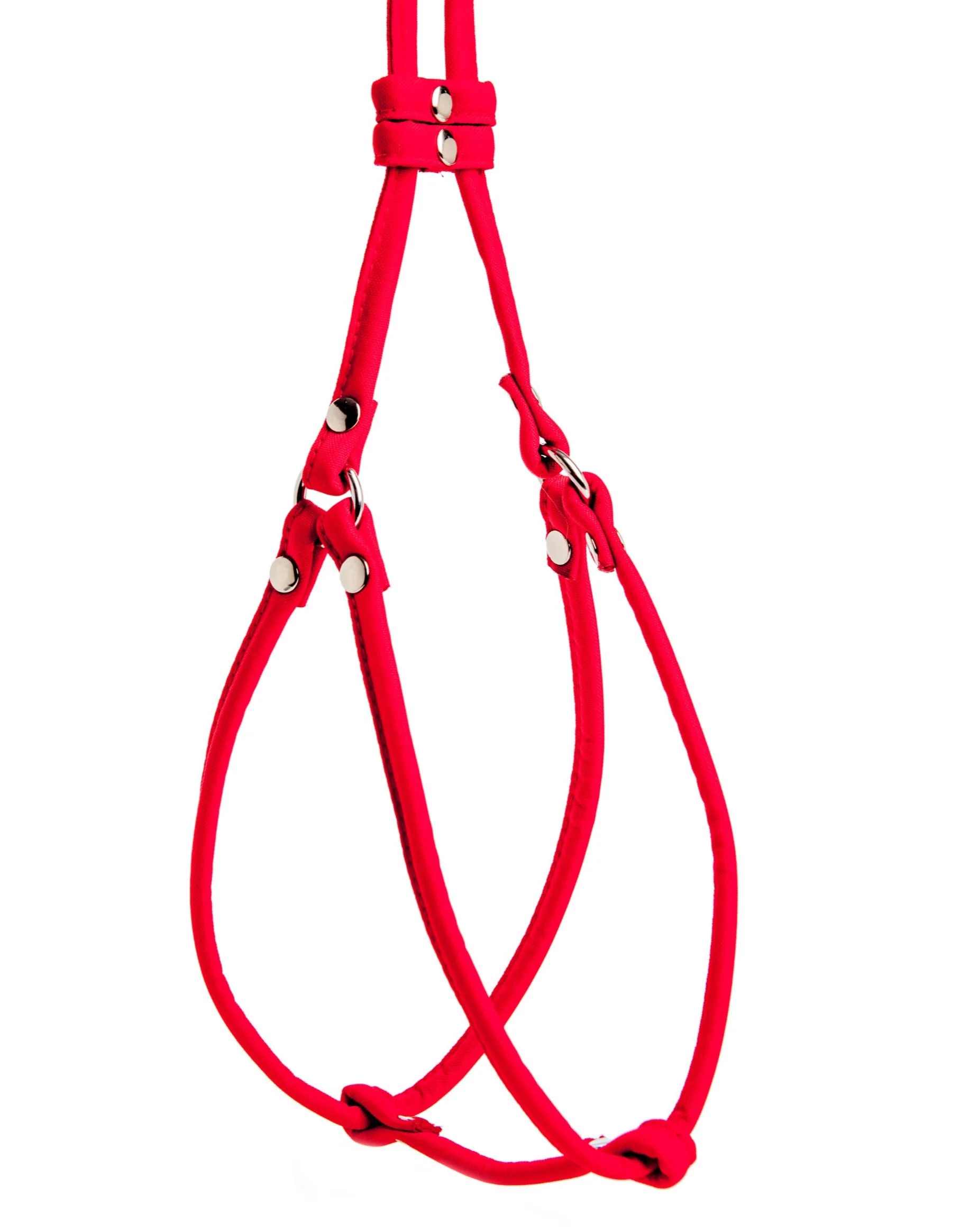 Nylon Step-In Adjustable Dog Harness in Red (Made in the USA) - Image 3