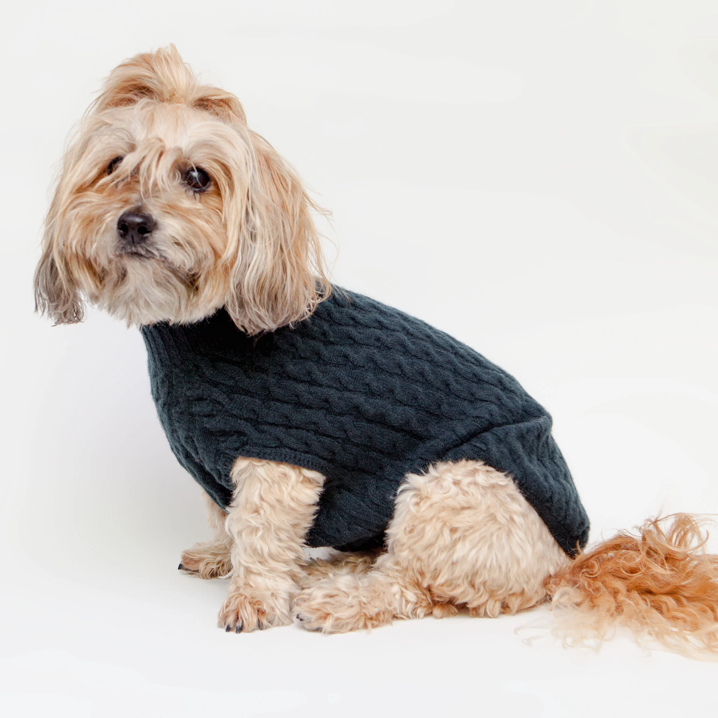 The Topo Cashmere Cable Knit Dog Sweater in Nightwatch Green - Image 2
