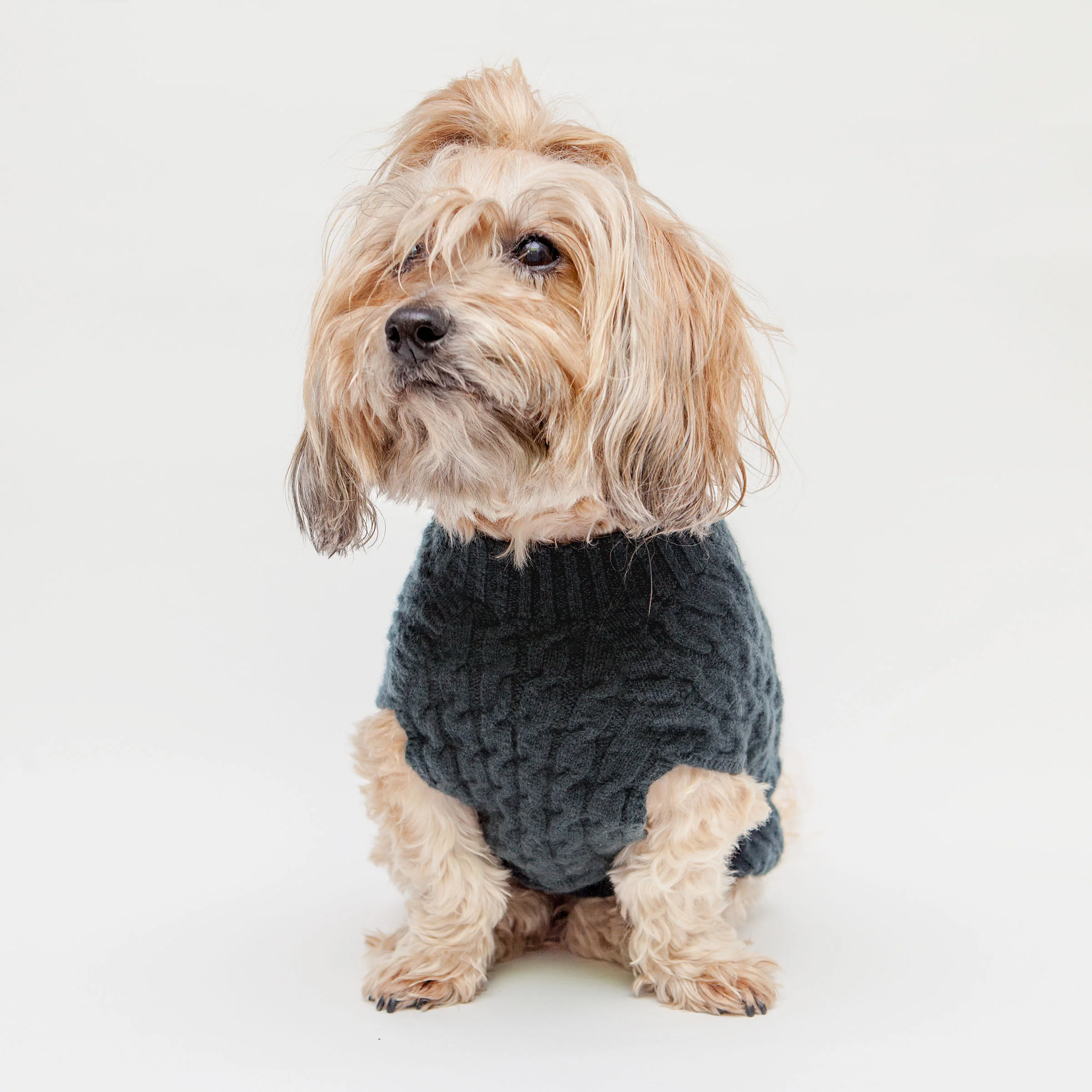 The Topo Cashmere Cable Knit Dog Sweater in Nightwatch Green - Image 3