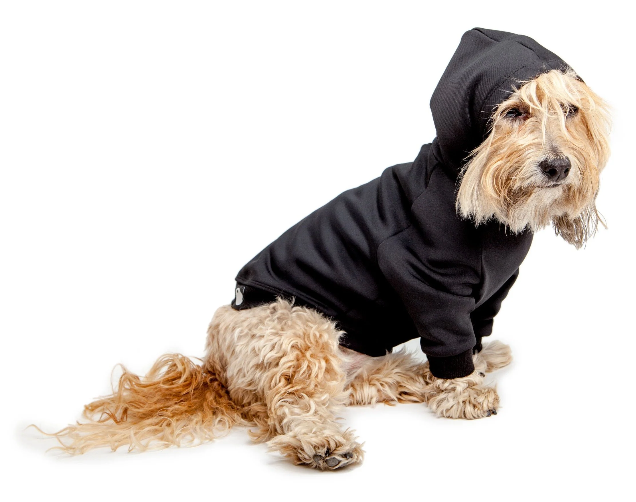 Water Resistant Dog Hoodie in Black - Image 4