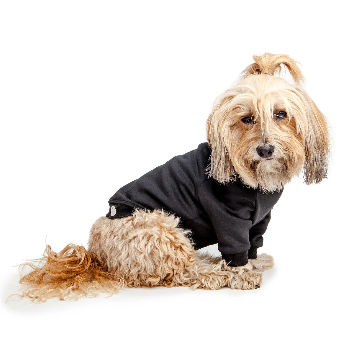 Water Resistant Dog Hoodie in Black - Image 5