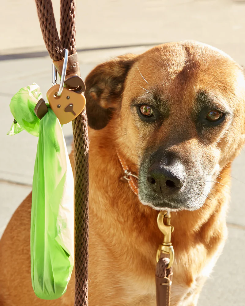 Dog Light Clip on LED Light - Image 3