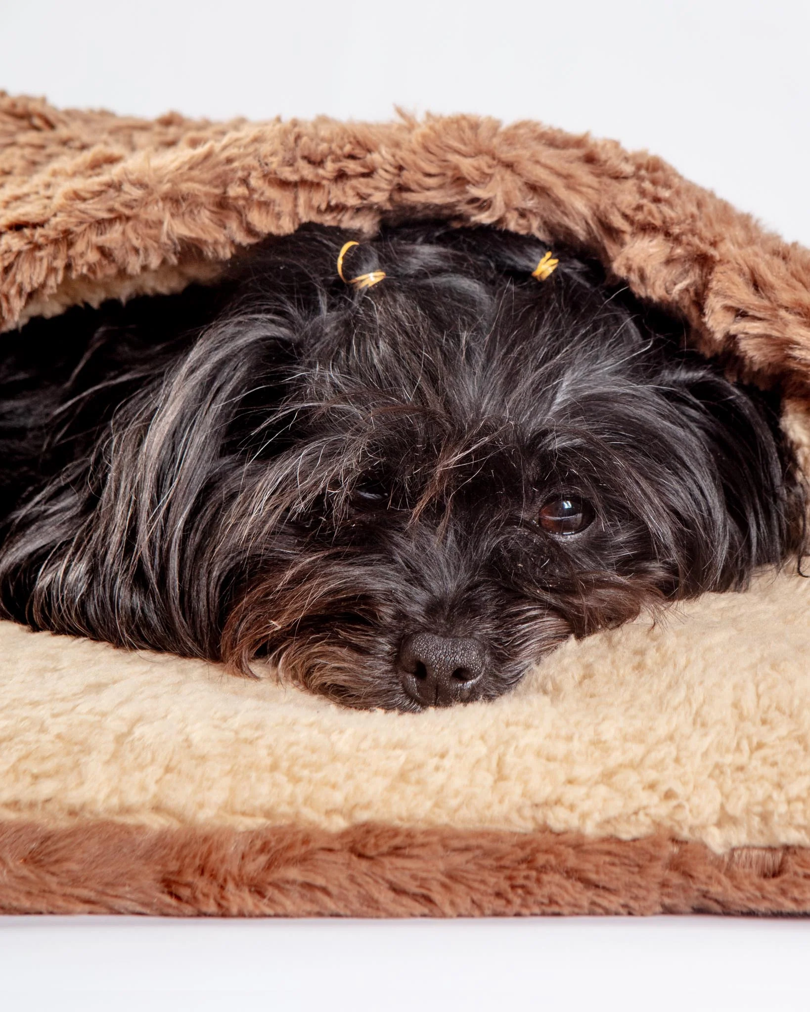 Mushy Pocket Bed in Mocha Faux Fur & Sherpa (FINAL SALE) - Image 2