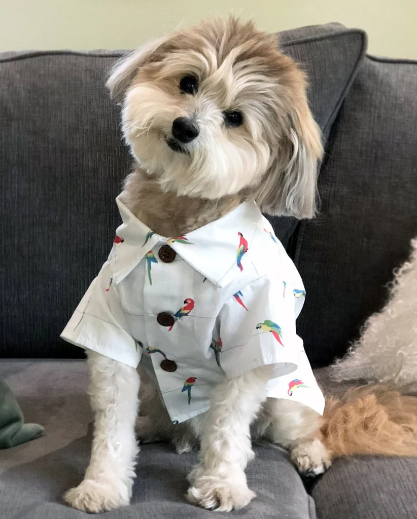 DOG THREADS | Birds Of Paradise BBQ Shirt - Image 4