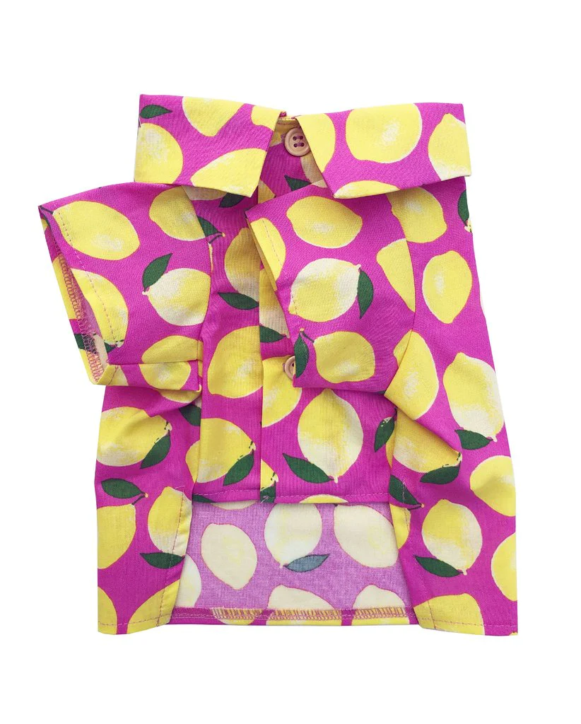 DOG THREADS | Lemons BBQ Shirt