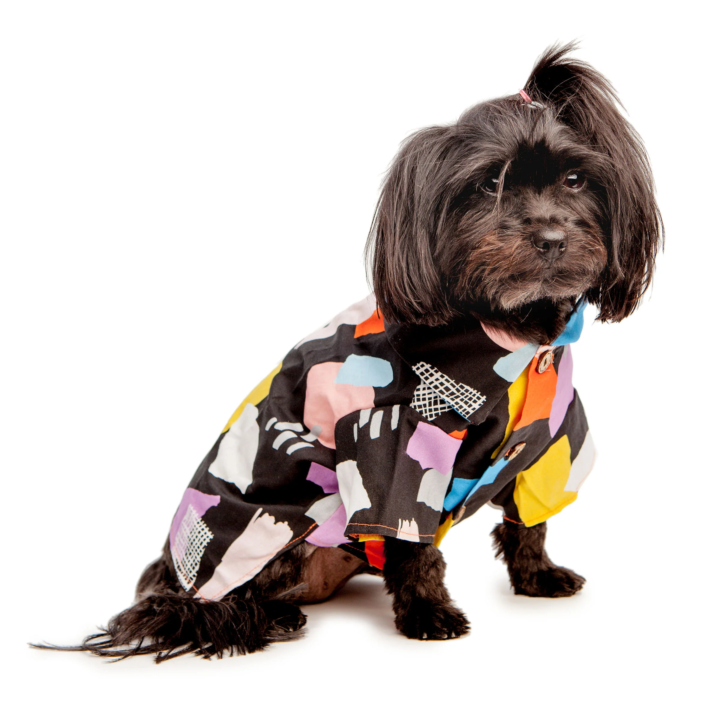 DOG THREADS | Modern Abstract Shirt in Black - Image 3