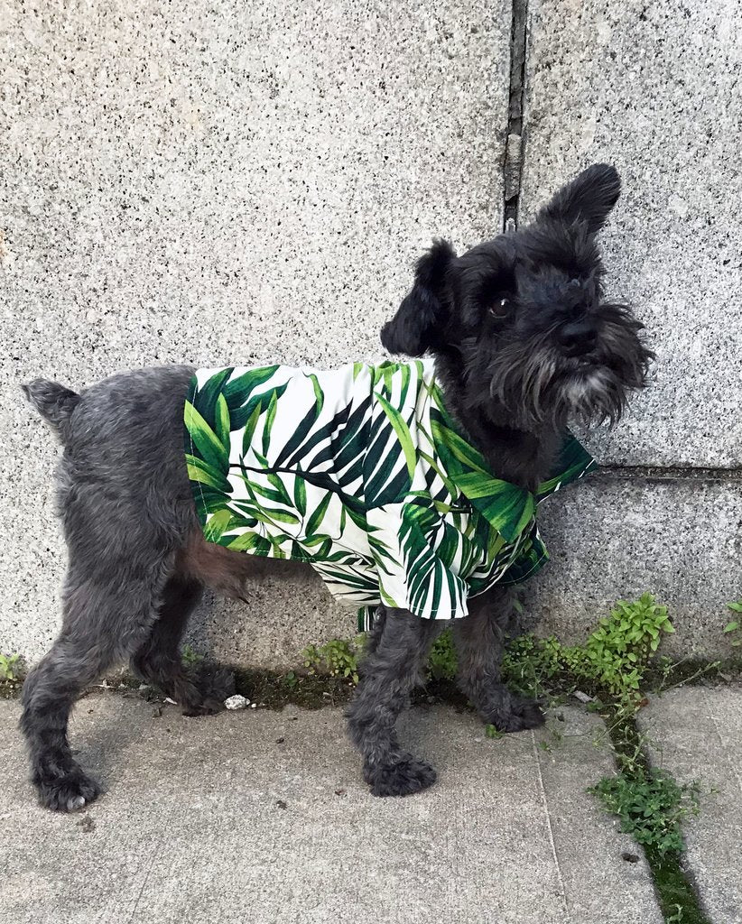 DOG THREADS | Havana Palms BBQ Shirt - Image 6