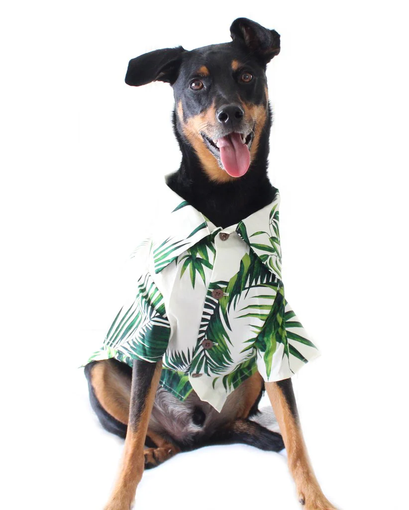 DOG THREADS | Havana Palms BBQ Shirt - Image 7