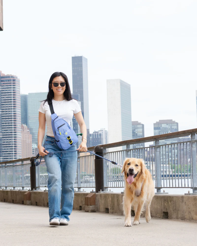 Waterproof Dog Walking Bag w/ Removable Treat Pouch - Image 19