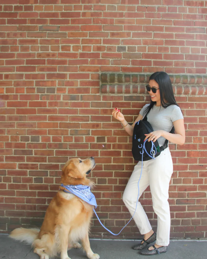 Waterproof Dog Walking Bag w/ Removable Treat Pouch - Image 2
