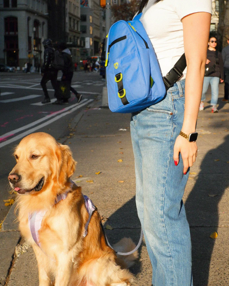 Waterproof Dog Walking Bag w/ Removable Treat Pouch - Image 23