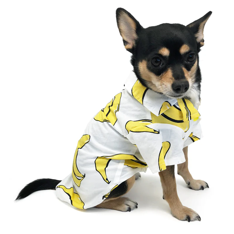 Banana Button Down Dog Shirt (FINAL SALE) - Image 6