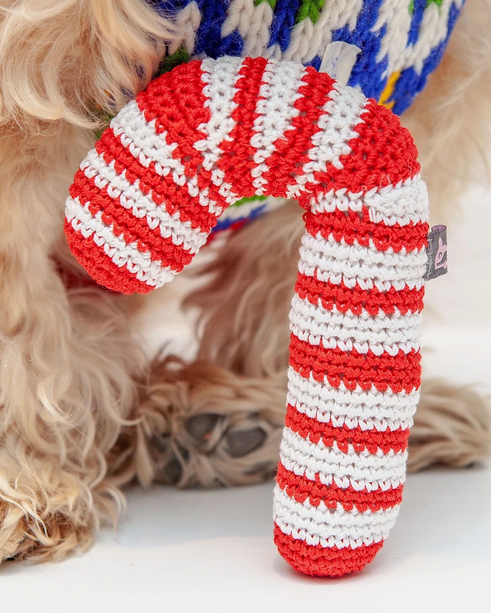 Candy Cane Organic Knit Dog Toy