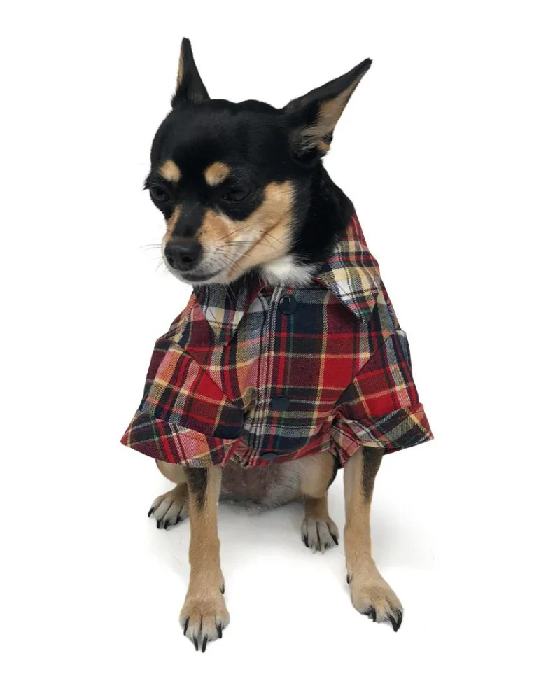 Flannel Plaid Button Down Shirt in Red (FINAL SALE) - Image 8
