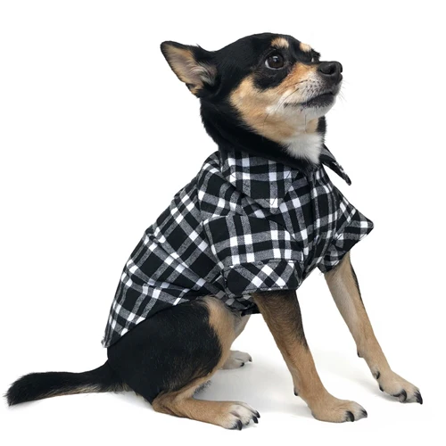 DOGO | Flannel Button Down Shirt in Black