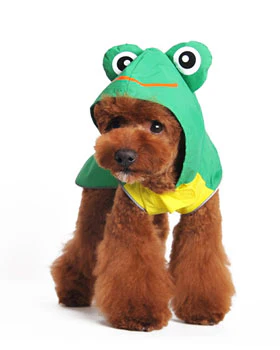 Frog Raincoat in Green - Image 4