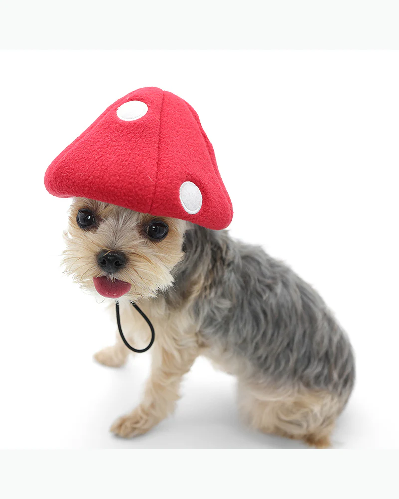 Howl-O-Ween Mushroom Cap - Image 4