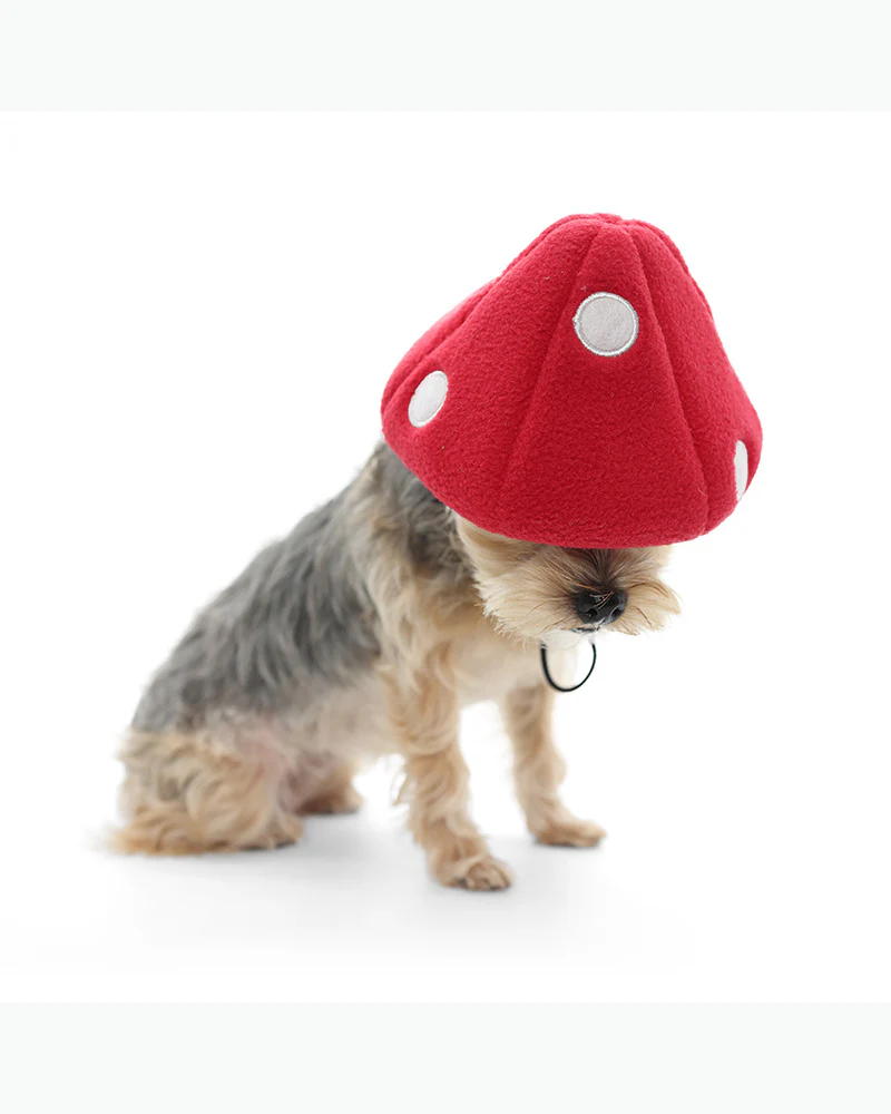 Howl-O-Ween Mushroom Cap - Image 7