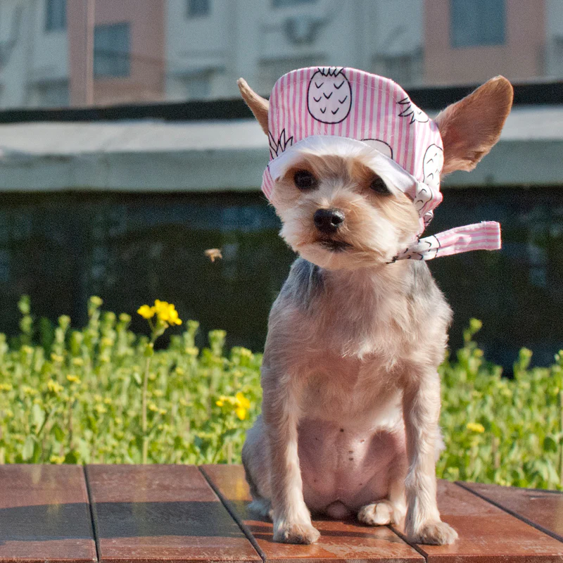 DOGO | Pineapple Hat in Pink - Image 5
