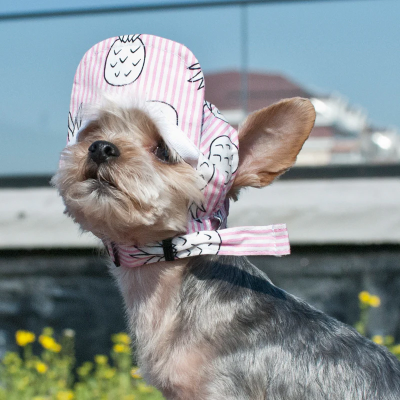 DOGO | Pineapple Hat in Pink - Image 6