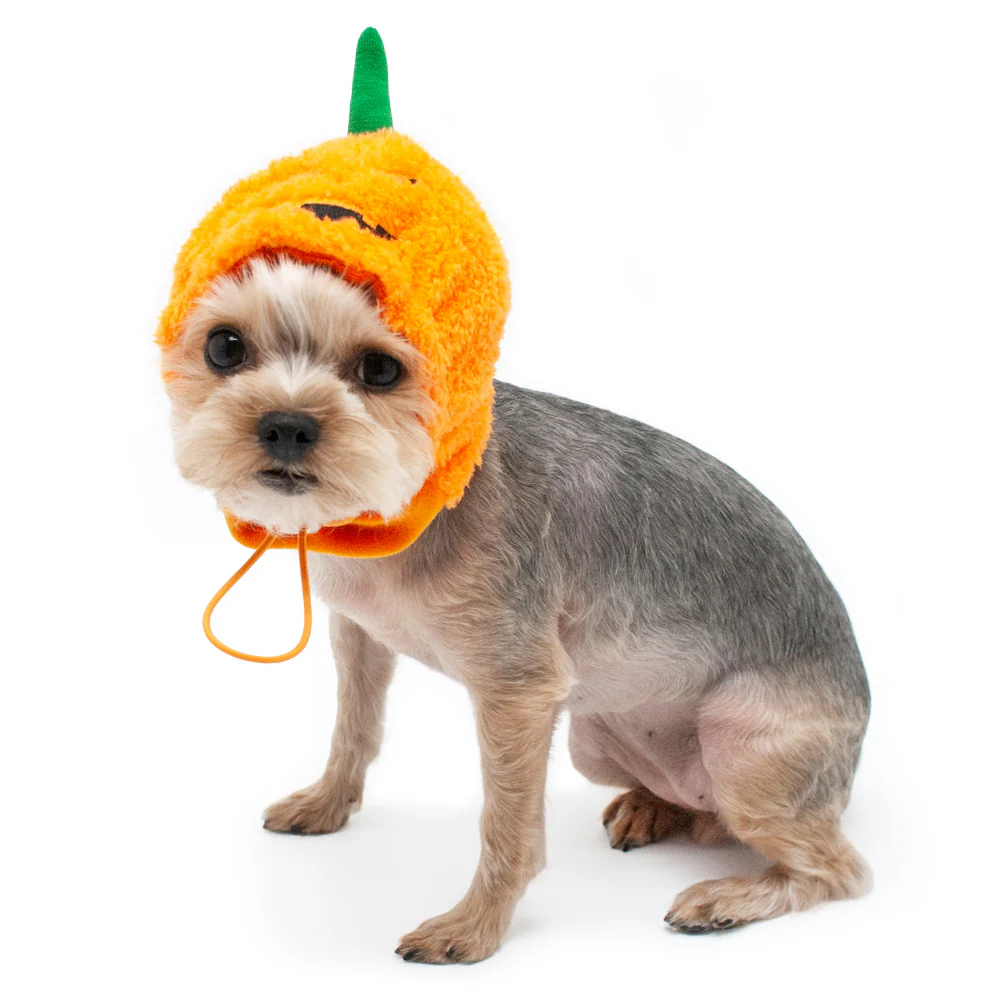 DOGO | Pumpkin Hat - Image 2