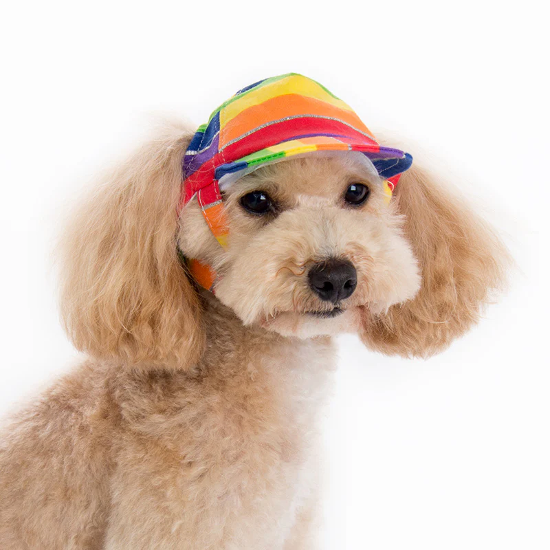 DOGO | Rainbow Hat - Image 2