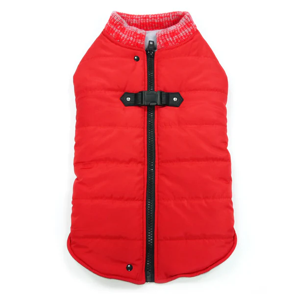 DOGO | Runner Coat in Red (BIG DOG SALE) - Image 2
